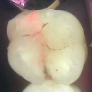 연세정원치과의원 이미지