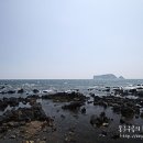 [태교여행 둘째날] 알럽망고, 생망고주스를 마시자 - 망고홀릭 법환점