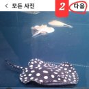 타임스탬프 이미지
