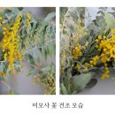 그린생화유통 이미지
