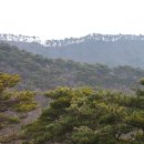 한내여자중학교 이미지