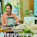 [타로상담아카데미 7기4학기]영적수행으로서의 타로_상징의 뿌리에서 타로상담실제까지: 9월 12일 개강 이미지