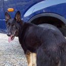 조은누리 이미지