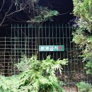 김녕미로공원 네이버블로그