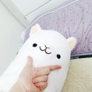 해피데이글로벌