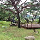 커피홀의암스카이워크점 이미지