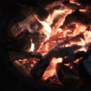 벌곡 멍발리 이미지