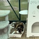 몽트커피