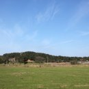 돌코롬하우스 이미지