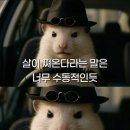 정통가마솥돼지국밥,정통밀면 네이버블로그
