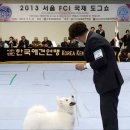 국제에프씨 이미지
