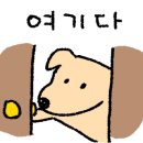 울산동물병원 이미지