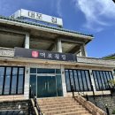 대포횟집 | [제주중문맛집] 바다뷰와 갈치구이에 반해버린 대포횟집 솔직후기