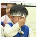 (주)진주랑 | 광주 운천ㅣ모듬 해산물 맛집 솔직 방문후기ㅣ"독도집"