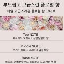 띠용헤어