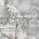 형상과 현상 이미지