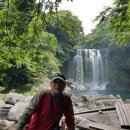 천제연폭포 이미지