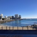 엔제리너스 울산 방어진점 이미지