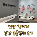 동물심장병원 진심 | 동물심장병원 진심, 천안 두정동 강아지 심장 동물병원에서 받은 전문적인 진료 솔직 후기
