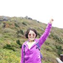 향로산자연휴양림 이미지