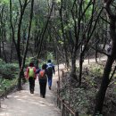 상당근린공원 이미지