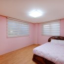 몽산포파인 이미지