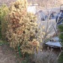 (재)한국환경과학기술연구원 - 2280 | (재)한국환경과학기술연구원