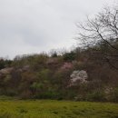 쑥티마을 이미지