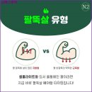 jj 에스테틱 네이버블로그