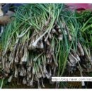 오순농장 이미지