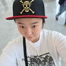 킨텍스 원피스 25주년 기념 특별전 준비 안된게 많은 첫날 솔직 후기(숨겨진 전보벌레 위치 공유)