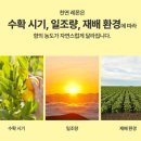 더마밀 | [뷰티] 모공 잡아주는 에센스_블라쥬 셀뷰린 에센스 찐 후기!!