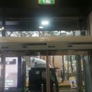 성모약국 앞 이미지