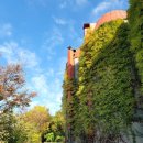 상몽농장2 이미지