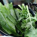 생생제주생고기 이미지