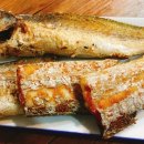 조선통술