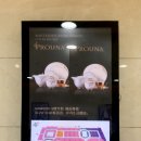남경도자기 이미지