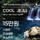 대한렌트카㈜ 이미지