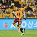 수 이미지