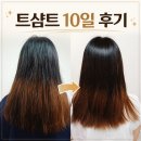 마른 머리 트리트먼트 그거 내가 해봄 | 트샴트 10일 후기 (동영상 O)