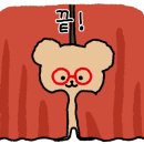 멍캐슬 이미지