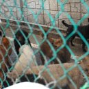 인천농장 이미지