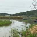 대요낚시터 이미지