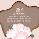 연식품