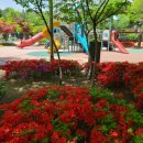 가현어린이공원 이미지