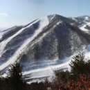 지에스25 일원센타 이미지