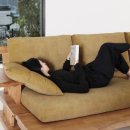 뉴 비너스 이미지