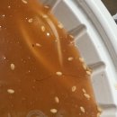 송주농장 이미지