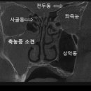 윤이비인후과의원 이미지
