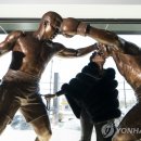 세기복싱체육관